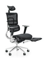 Эргономичное кресло Эрго / black Ergo L Эргономичное кресло Эрго / black Ergo L