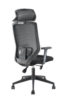 Кресло для руководителя Bronte RCH A755 Luxe Серая сетка Кресло для руководителя Bronte RCH A755 Luxe Серая сетка