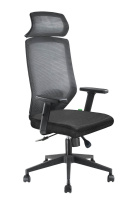 Кресло для руководителя Bronte RCH A755 Luxe Серая сетка Кресло для руководителя Bronte RCH A755 Luxe Серая сетка