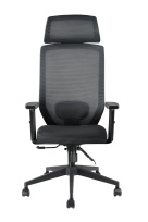 Кресло для руководителя Bronte RCH A755 Luxe Серая сетка Кресло для руководителя Bronte RCH A755 Luxe Серая сетка